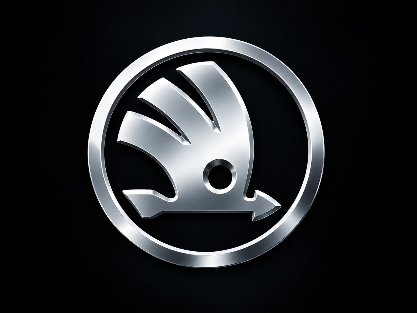 Skoda ODIS factory diagnostics